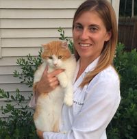 Stacy Laxen's profile image