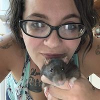Bobbie Rittenhouse's profile image