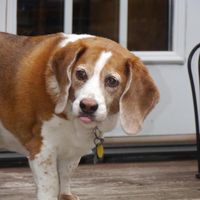 Frank Turner Owens's profile image