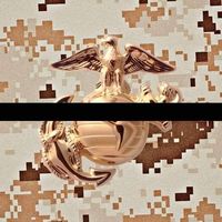 Nate Rogers's profile image