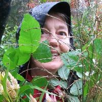 Jane Henderson's profile image