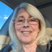 Amy Collins's profile image