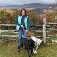 Shannon Holbrook's profile image