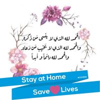 Walaa Lababidi's profile image
