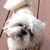 Margaret Carey Hesson's profile image