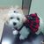 Janett F. Simmons's profile image