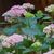 Sandy Baker's profile image
