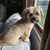 Kim Whitted's profile image