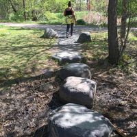 Vivian Lyord's profile image