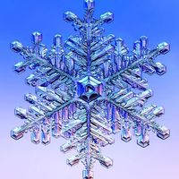 Tami Smith's profile image