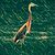 Charlotte Canelli's profile image