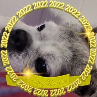 Lisa Huffman's profile image