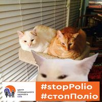 Randy Johnston's profile image