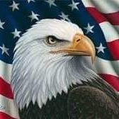 Darren Martin's profile image