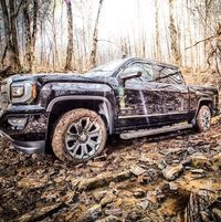 Michael Brammeier's profile image