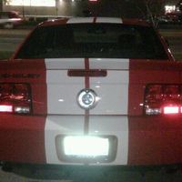 Mike Weber's profile image
