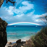 Michael S. Painter's profile image