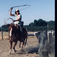 Crystal Hansen's profile image