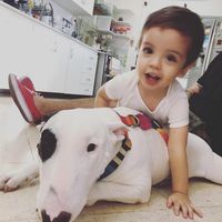 Gabriel Ibarra's profile image