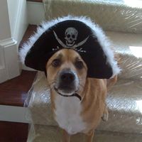 Joel Sandler's profile image