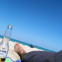 Bruno Cardenas's profile image