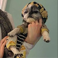 Marc Juice's profile image
