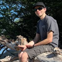 Aaron Jokela's profile image
