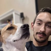 Kyle McNemee's profile image