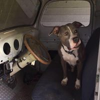 Zachary Scott Williams's profile image