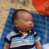 Thomas Truong's profile image