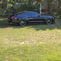 Bryant Walker's profile image