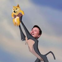 Andrew Zaniewski's profile image