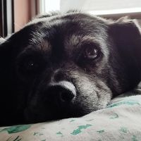 Jasin Norton's profile image