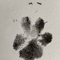 Daniel Gutierrez's profile image
