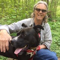 Jim Brossy's profile image