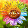 Desormes's profile image