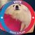 Mills Miller's profile image