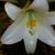 Andrea Jergins's profile image
