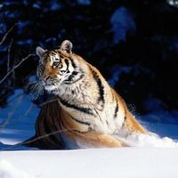 Jason Cox's profile image