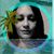 Noelle Dziedzic's profile image