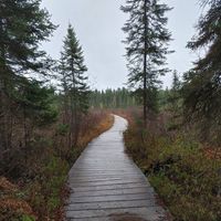 Beth Thomas's profile image