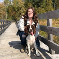 Molly Petherick's profile image