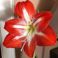 M Diane Sackfield's profile image