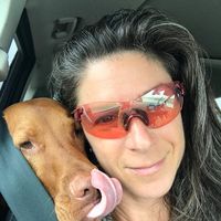 Lesley Schwartz's profile image