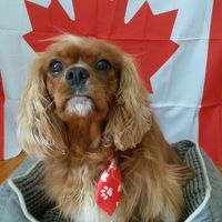 Pauline Reilly's profile image