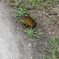 Eileen Byart's profile image