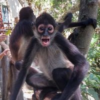 Kathleen Henry's profile image