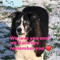 Liz Scott Koegler's profile image