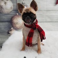 Kelly Nolan's profile image