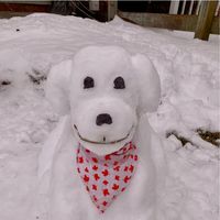 Donna Munch's profile image